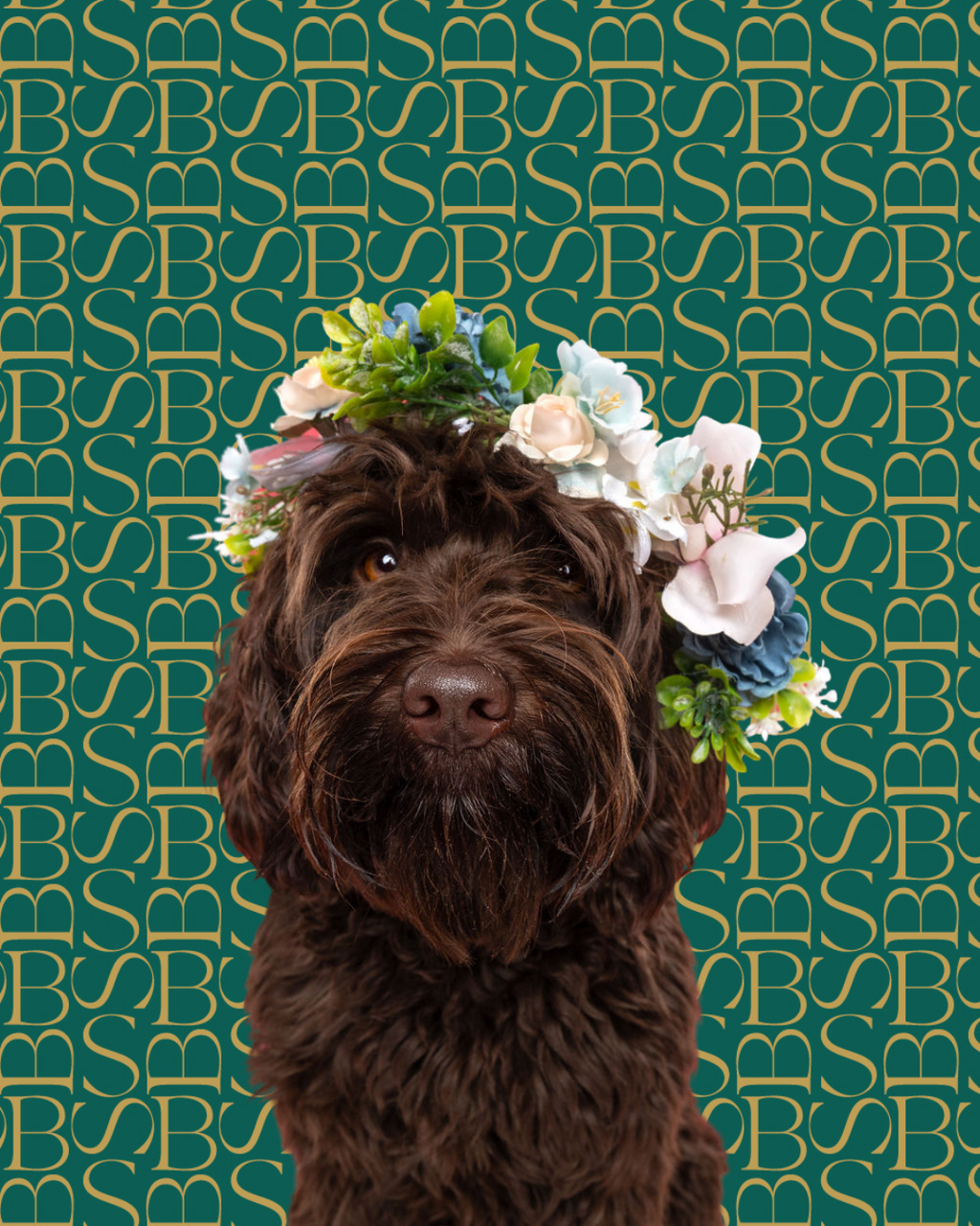 Secret Garden | Dog Shampoo Bar