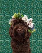 Secret Garden | Dog Shampoo Bar