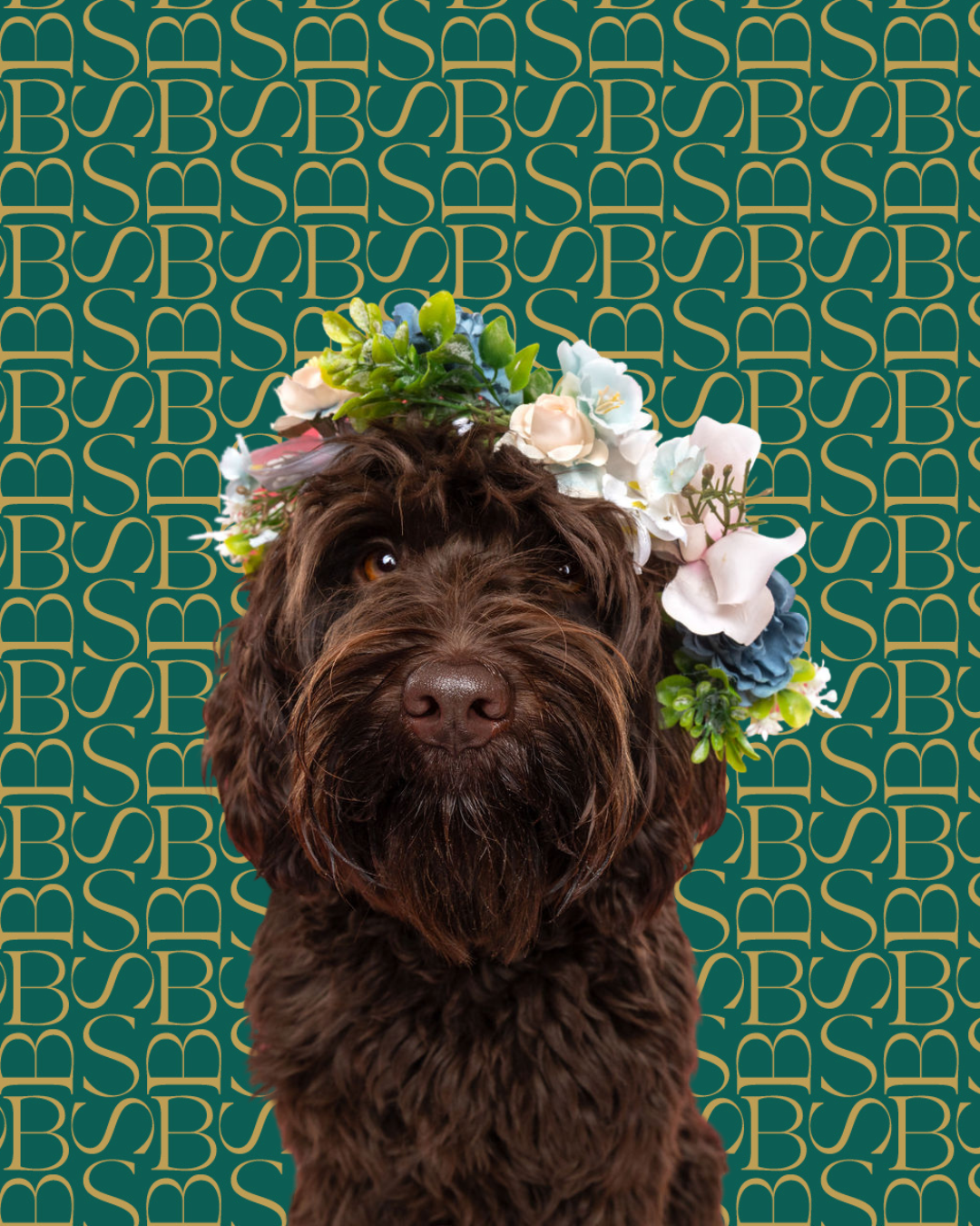 Secret Garden | Dog Shampoo Bar