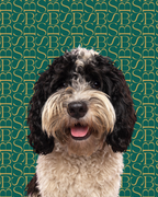 Silken Coat | Dog Conditioner Bar