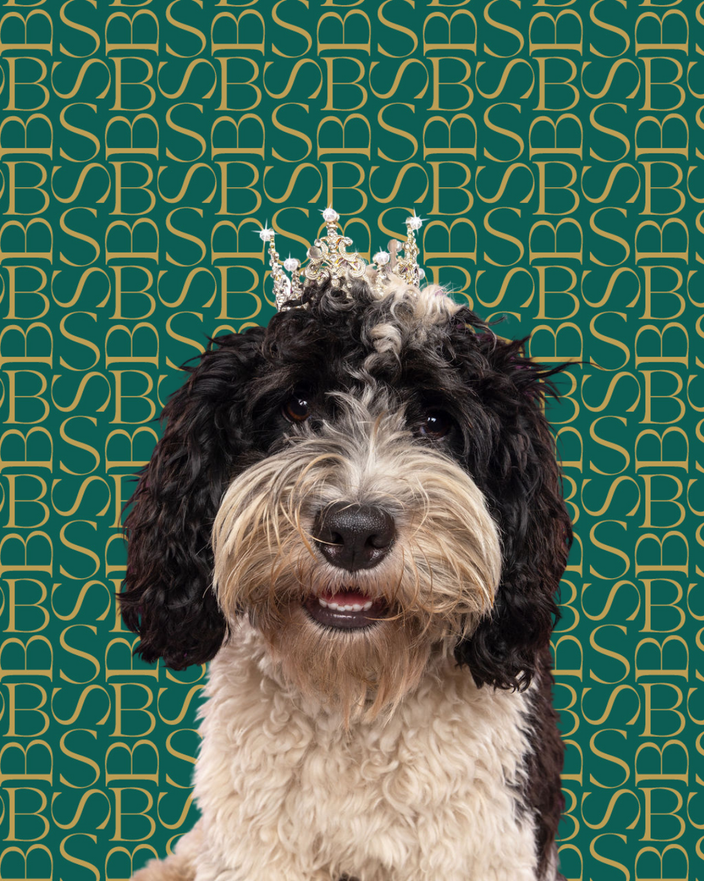 Velvet Oudh | Dog Shampoo Bar