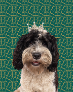 Velvet Oudh | Dog Shampoo Bar