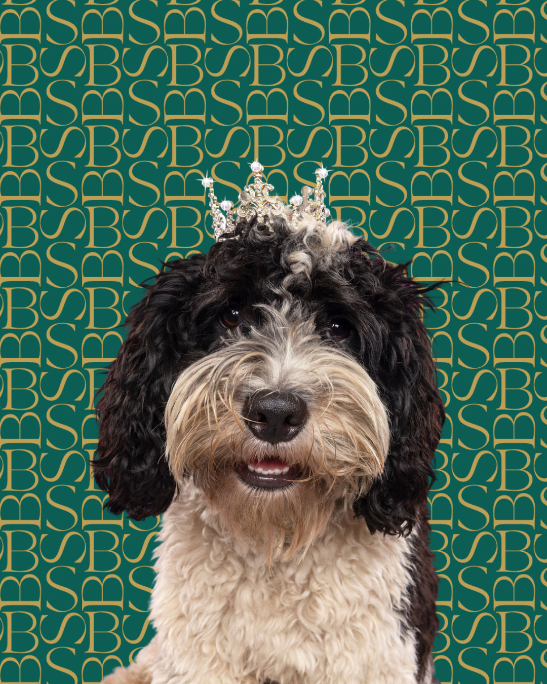 Velvet Oudh | Dog Shampoo Bar