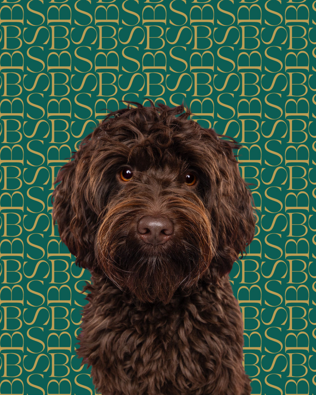 Whispering Linen | Dog Shampoo Bar