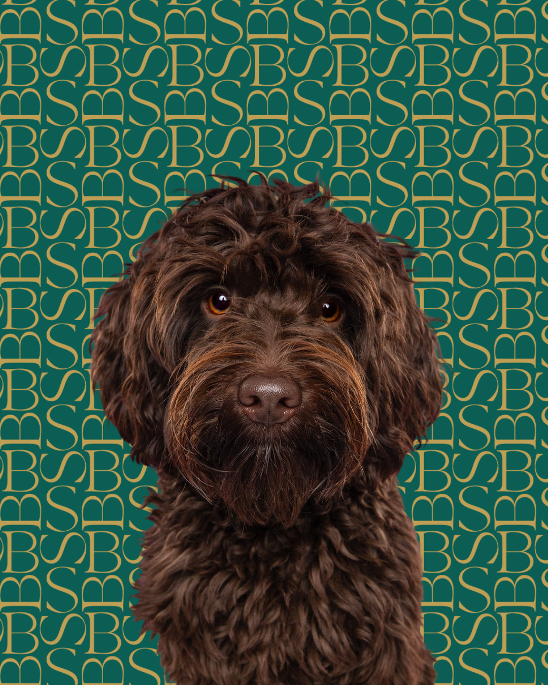 Whispering Linen | Dog Shampoo Bar