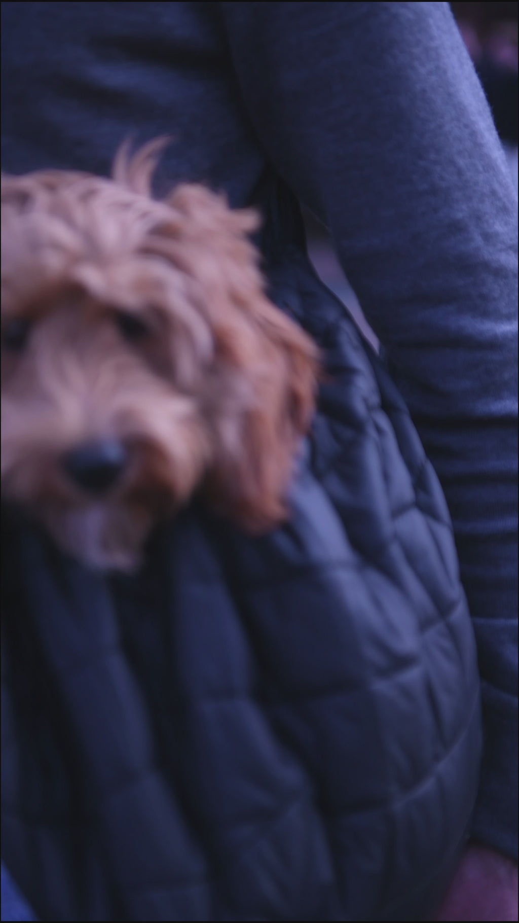 The Bob Carrier | Black