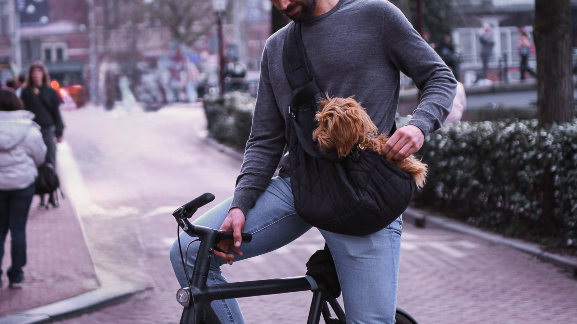 Bob & Scottie luxe hondendraagtas zwart voor kleine honden en puppy's 